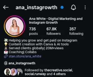 Instagram profile bio