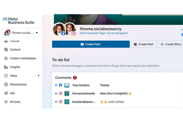 Meta Business Suite Insights